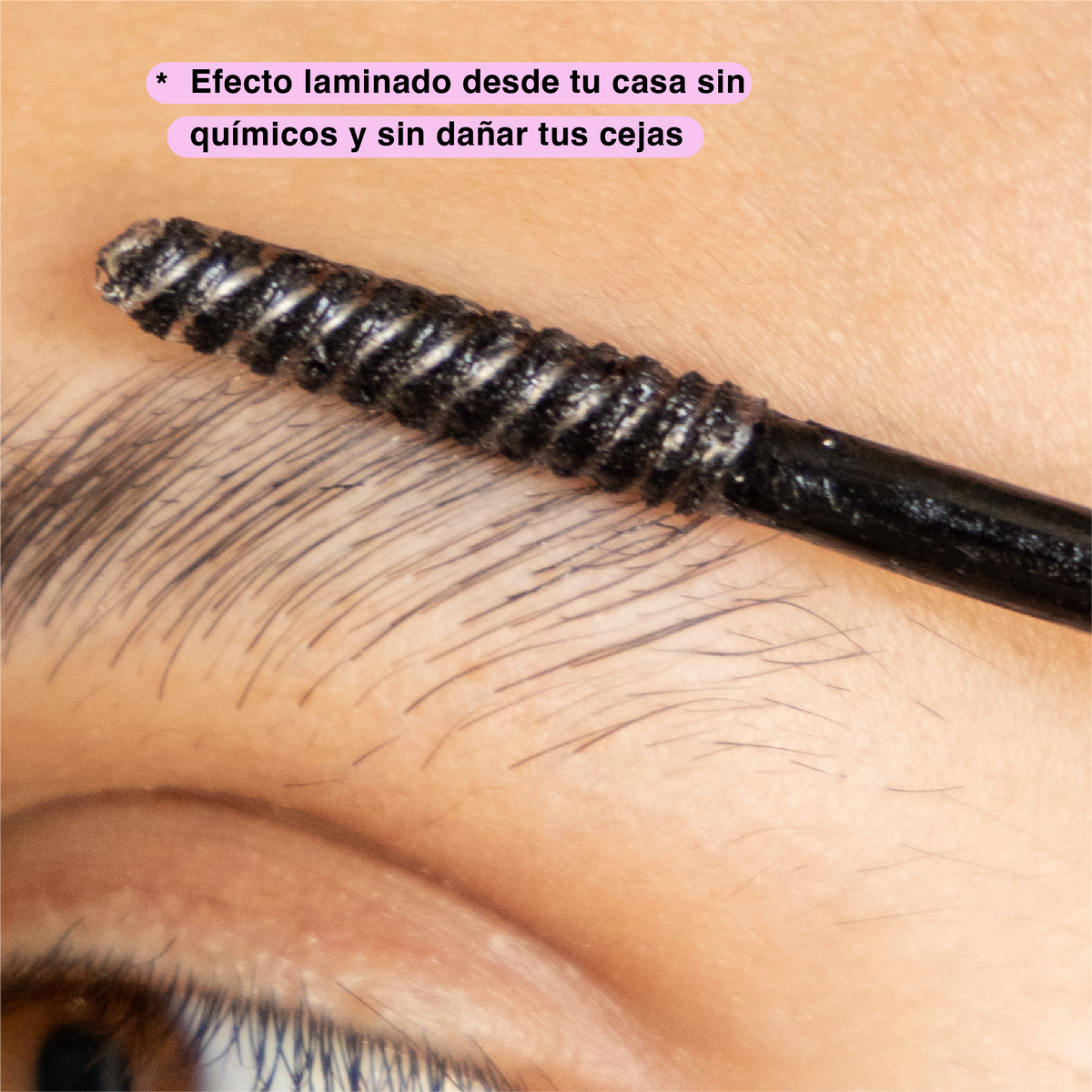 Dúo de Cejas y Pestañas
